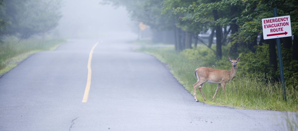 Photo © Alex Potemkin - iStock